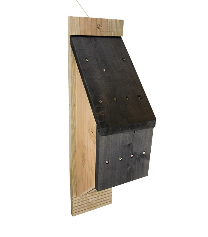 Groot vleermuizenkast